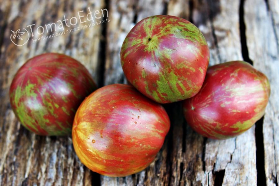 Orion S Belt Seeds Of Tomatoes Heirloom Tomatoeden Site Orion S Belt Seeds Plants