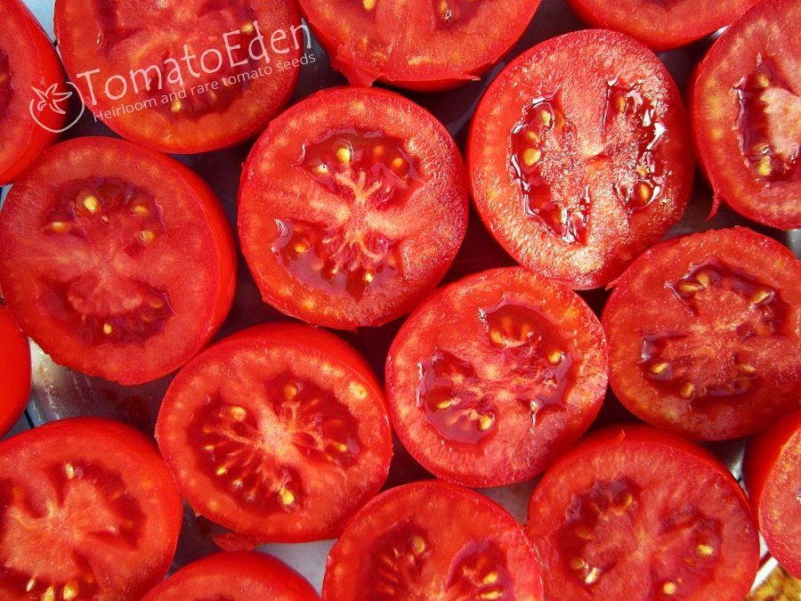 Health Kick Heirloom Tomato Seeds Tomatoeden Site